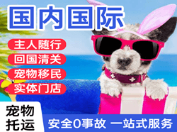 郴州北湖国际宠物托运 【国